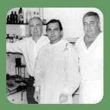 Busca do conhecimento